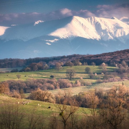 Temperaturi mai ridicate decât normalul în intervalul 17 noiembrie - 15 decembrie