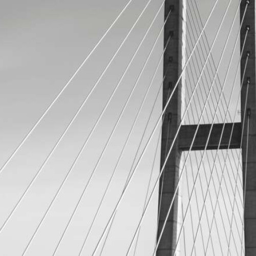 Consiliul Județean Timiș caută proiectant pentru un nou pod peste Mureș la Cenad