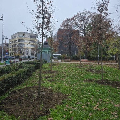 ALPAB plantează 191 de arbori în mai multe zone din București