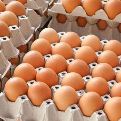 Consiliul concurenţei supraveghează piaţa ouălor pentru a preveni creşterile speculative de preţ