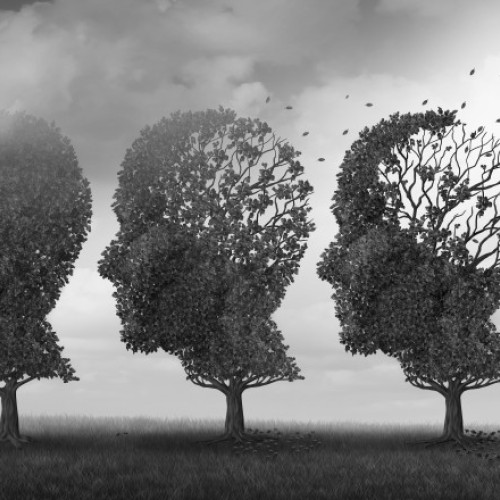 Studiu explică pierderea memoriei sociale în boala Alzheimer prin distrugerea rețelelor neuronale