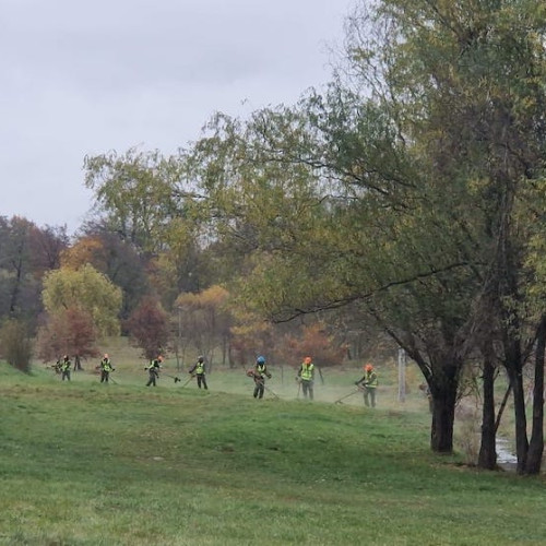 Contractul pentru cosirea ierbii în Sibiu, atribuit după o contestație întârziată