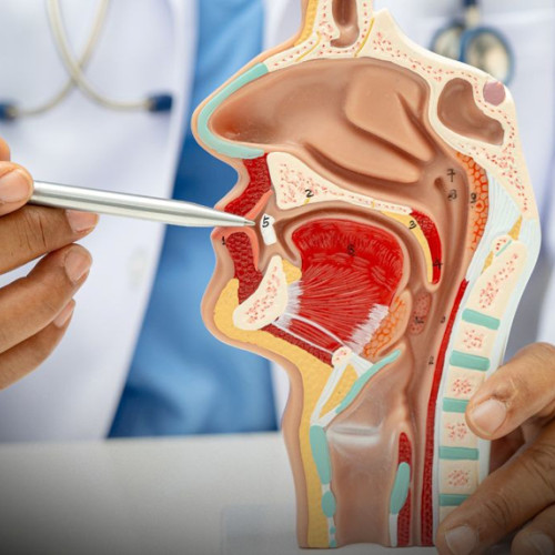 Zâmbetul sănătos, cheia unei vieți echilibrate și a relațiilor sociale armonioase