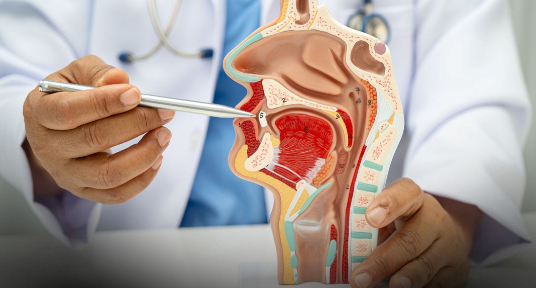 Zâmbetul sănătos, cheia unei vieți echilibrate și a relațiilor sociale armonioase