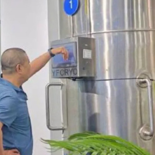 Bărbat chinez și-a criogenat soția decedată și are acum o nouă iubită