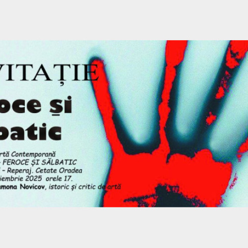 Expoziție de artă contemporană la Galeriile de Artă din Oradea