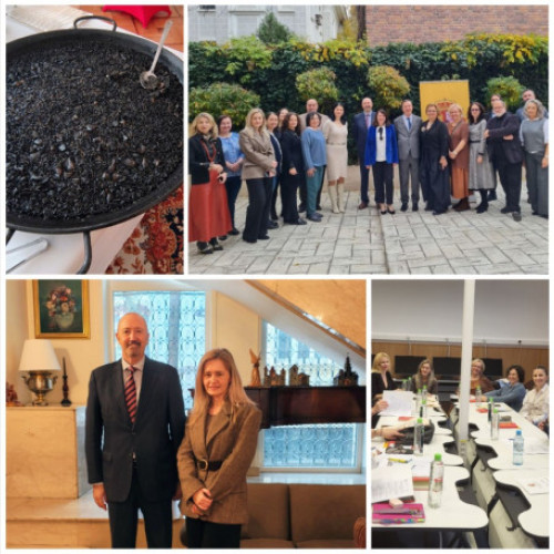 Reuniune de coordonare a liceelor bilingve spaniole la Colegiul Iulia Hașdeu