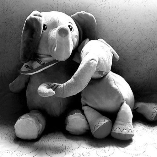 Ziua internațională a drepturilor copilului, marcată și în Alba cu apel la protecție