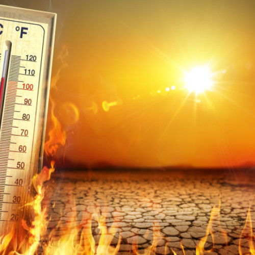 Turcia va organiza conferința ONU privind clima din 2026, Australia va avea președinția