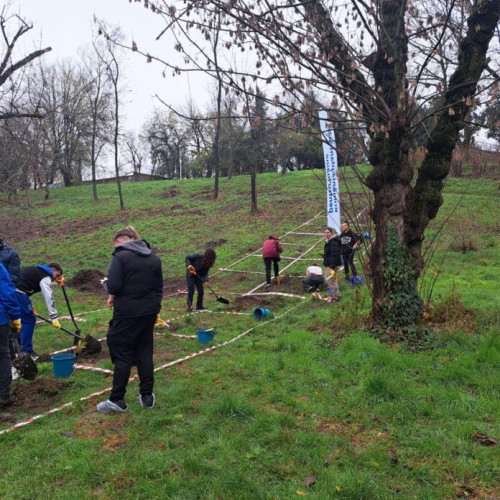 Primăria București a început campania de plantare în Parcul Tineretului