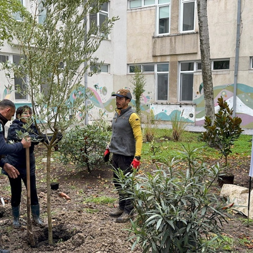 Colaborare între elevi și asociații pentru amenajarea unei noi galerii de artă în aer liber