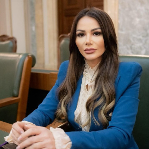 Senatoarea Valentina Aldea agresată cu o bară metalică în sectorul 6 al Capitalei