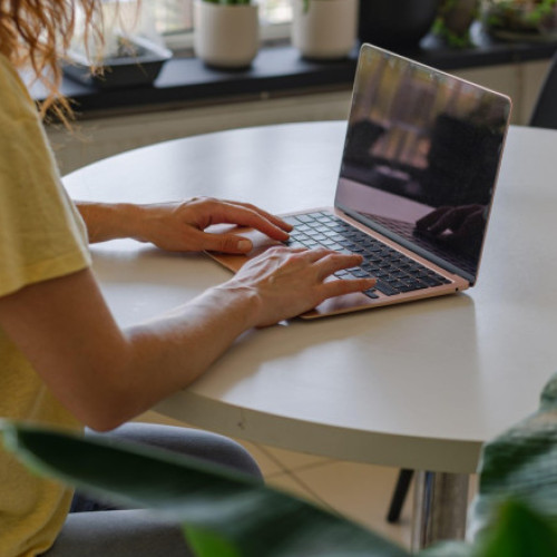 Slovenia introduce viză specială pentru nomazii digitali din afara UE și SEE