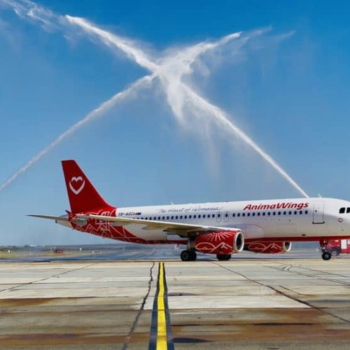 Compania AnimaWings deschide cinci rute noi din Timișoara către Italia și Grecia