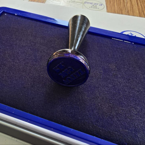 Începe campania pentru alegerile locale parțiale din decembrie 2025