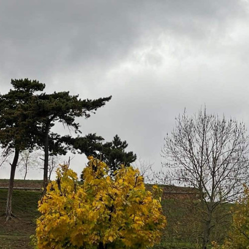 Vremea în Alba în ultima săptămână din noiembrie: temperaturi în scădere și ninsori la munte