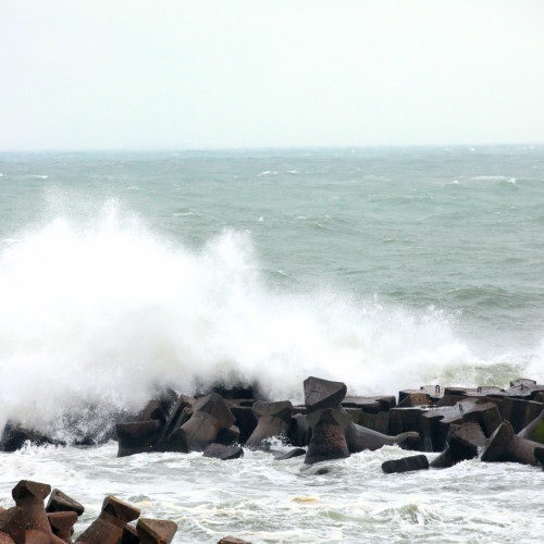 Cod galben de vânt puternic în mai multe regiuni ale României până miercuri dimineață
