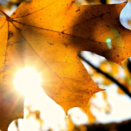 Bucureștiul va avea temperaturi peste medie și vreme frumoasă în următoarele zile