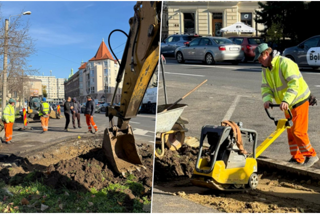 O nouă stație de troleibuz va fi deschisă lângă Parcul Botanic din Timișoara