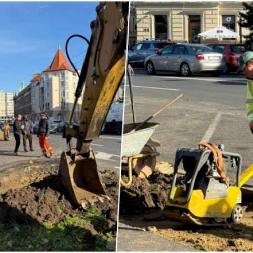 O nouă stație de troleibuz va fi deschisă lângă Parcul Botanic din Timișoara
