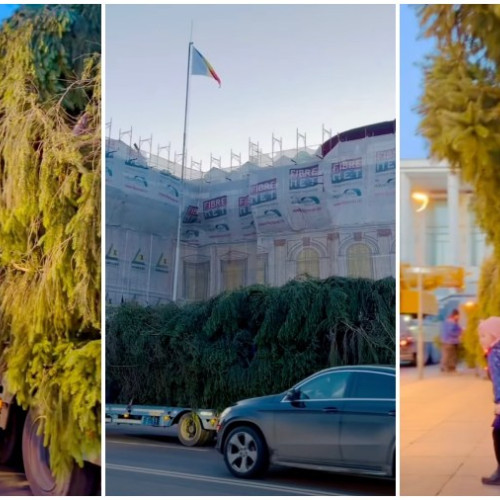 Bradul de Crăciun din Bacău va fi aprins pe 28 noiembrie în Piața Tricolorului