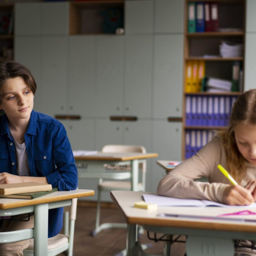 Consultare publică pentru noile programe școlare liceale până în decembrie 2025