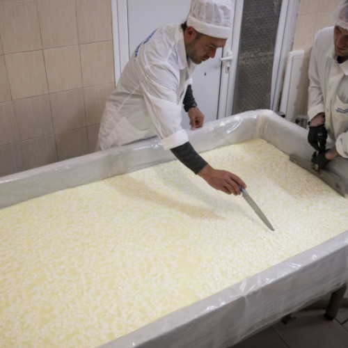 Deținuții din România muncesc mai mult, valoarea serviciilor crește cu peste 30%