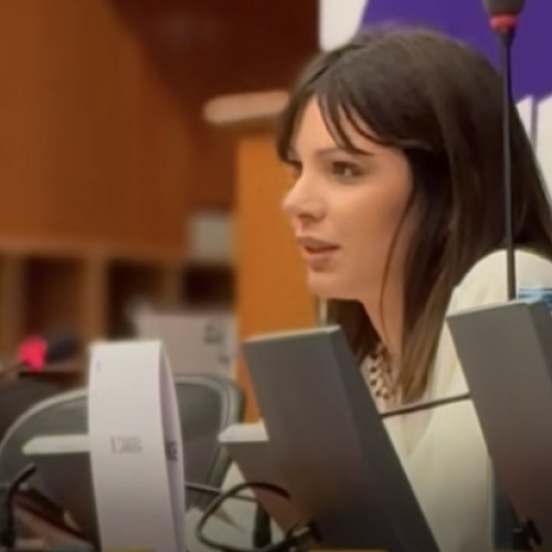 O mamă româncă a povestit în Parlamentul European despre violența obstetrică și domestică