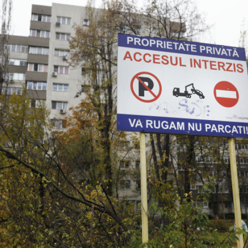 Administrator prins că tăia copaci fără autorizație în Parcul IOR, anchetă în curs