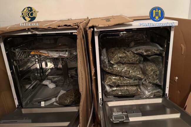 Percheziții în Timiș pentru trafic de droguri, urmăriți consumatori de cocaină și „cristal”