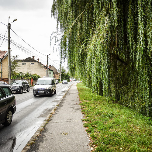 Primăria Sibiu introduce interdicții de oprire pe mai multe străzi pentru fluidizarea traficului