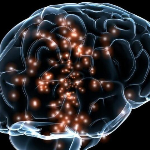 Creierul uman începe să formeze gândurile prin modele electrice autoorganizate