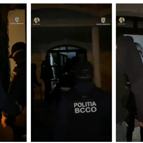 Trei persoane reținute pentru trafic de canabis prin metoda dead drop în Constanța