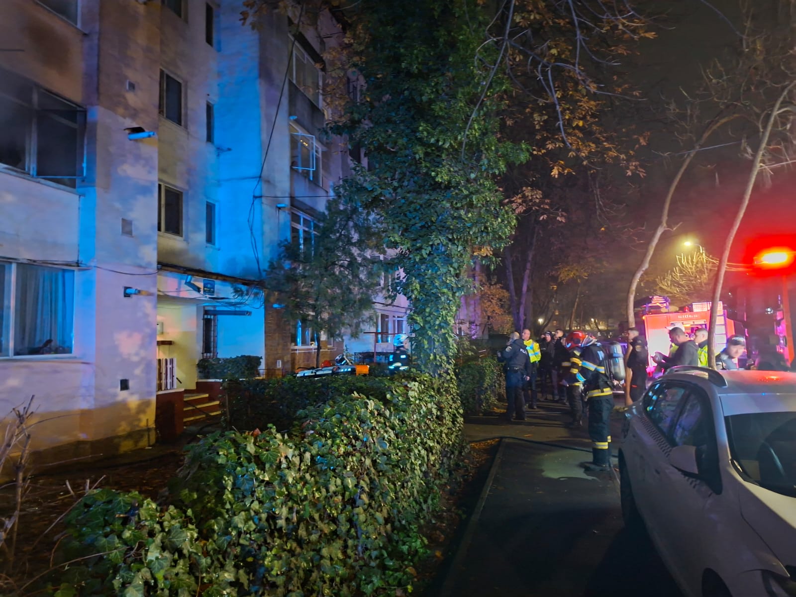 Bărbat decedat într-un incendiu în Radu Negru; doi câini găsiți morți în apartament