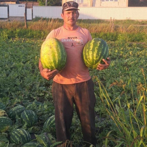 Familiile din Știubieni caută ajutor pentru repatrierea unui tată decedat în Spania