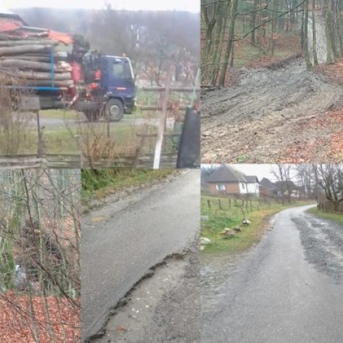 Muntele Șatra, devastat de defrișări și traficul ilegal de lemn la Țârgu Lăpuș