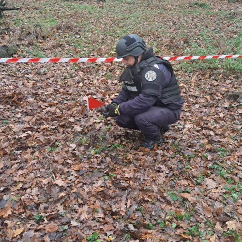 Grenadă ofensivă și cartuș descoperite în pădure la Drislea, județul Botoșani