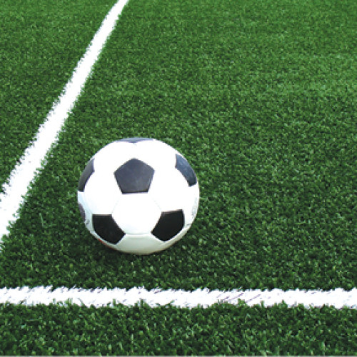 Programul și transmisiunile din etapa a doua a Cupei României Betano 2025-2026