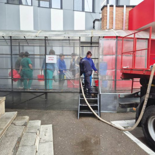 Nicoleta Dumitrescu, personalitate marcantă în diverse domenii