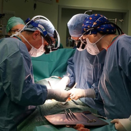 84 de donatori și aproape 300 de transplanturi realizate până în decembrie 2025