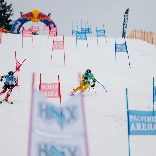 Prima competiție de iarnă la Păltiniș Arena a oferit un spectacol extraordinar