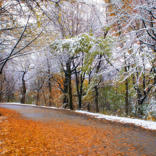 Decembrie 2025 va fi neobișnuit de cald în România, cu precipitații variabile