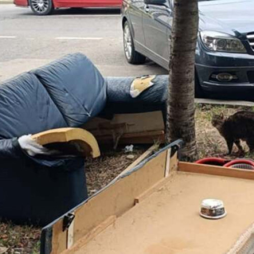 Respingerea contractului cu Polaris după blocajele din sistemul de colectare a deșeurilor