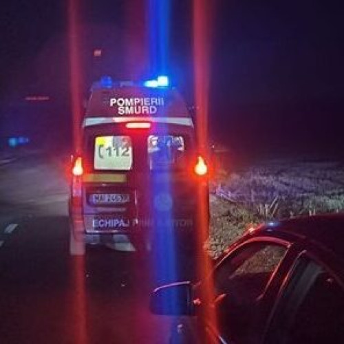 Curtea de Apel Constanța confirmă condamnarea șoferului buldoexcavatorului implicat în accidentul de lângă Dorobanțu