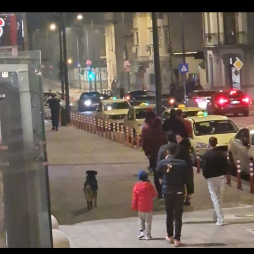 Două victime după un accident rutier în zona Tomis Mall din Constanța