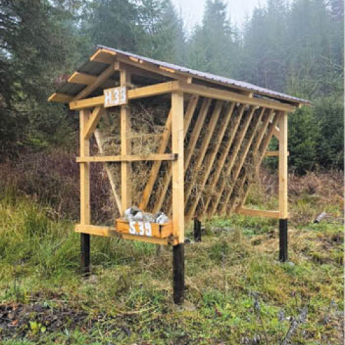 Regia națională a pădurilor sprijină hrana animalelor sălbatice în sezonul rece