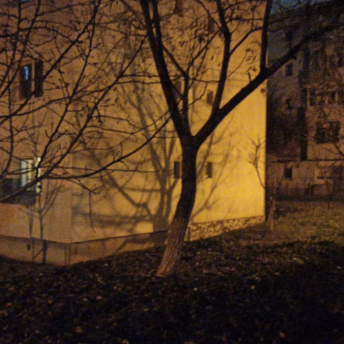 Locatari din Botoșani reclamă avarii netratate la rețelele de apă de peste două luni