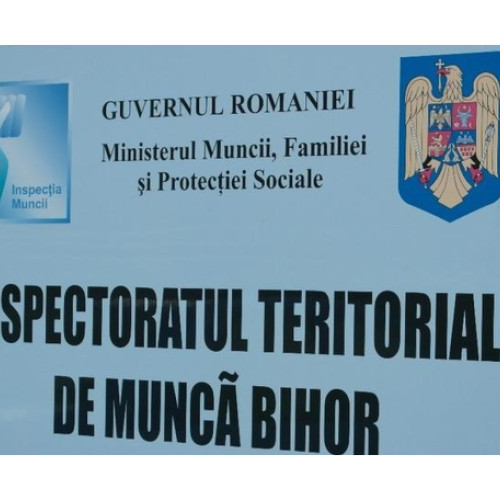 Angajatorii din Bihor au termen până la 31 decembrie să se înregistreze în Reges-Online