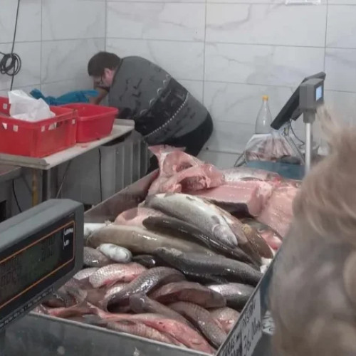 DSVSA Buzău a retras peste 600 kg de pește infestat cu larve Anisakis