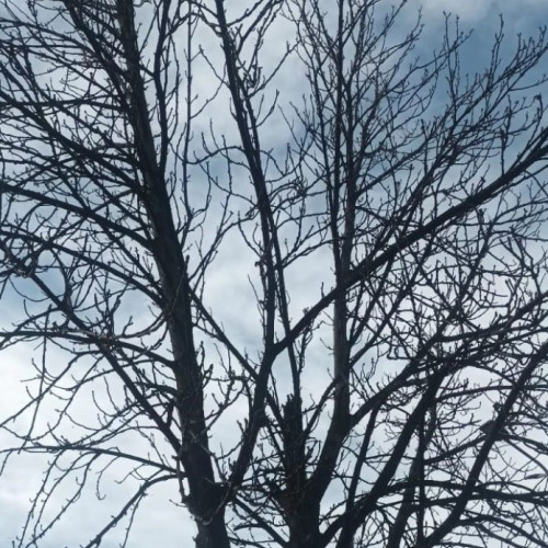 Intensificări ale vântului anunțate în aproape toate regiunile țării până sâmbătă seară